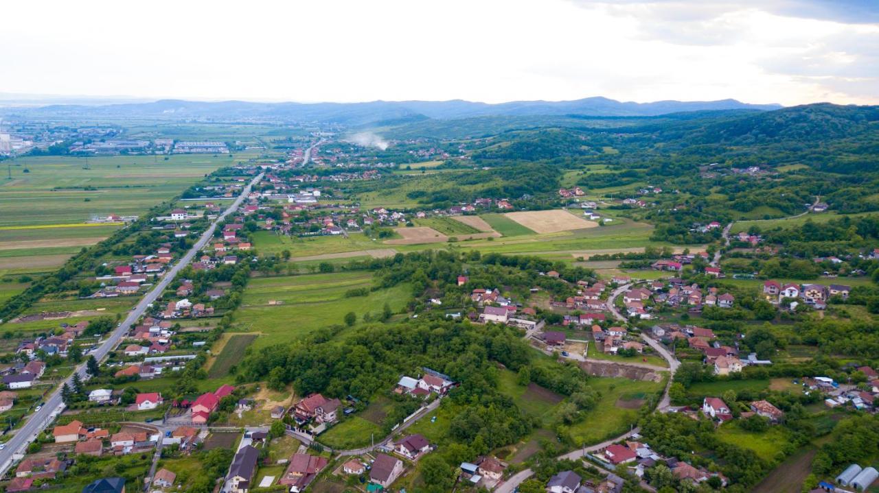 Casa Avram Villa Râmnicu Vâlcea Dış mekan fotoğraf