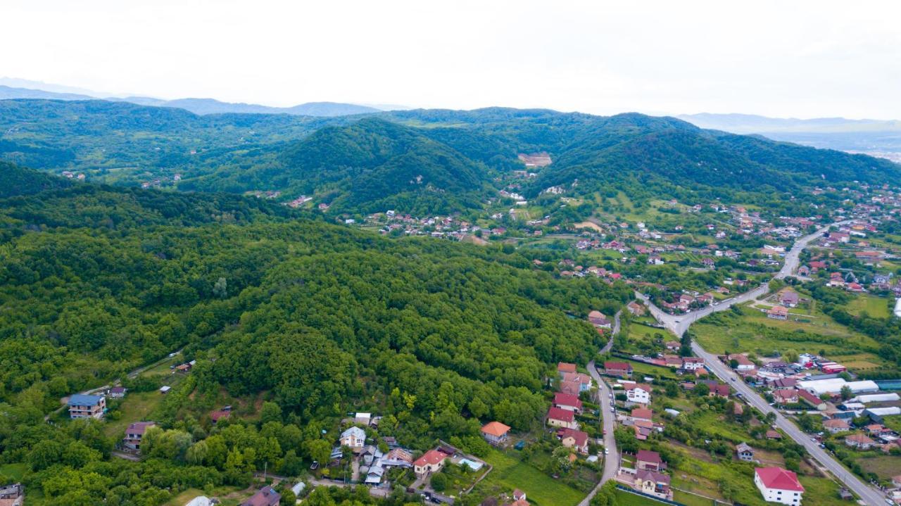 Casa Avram Villa Râmnicu Vâlcea Dış mekan fotoğraf