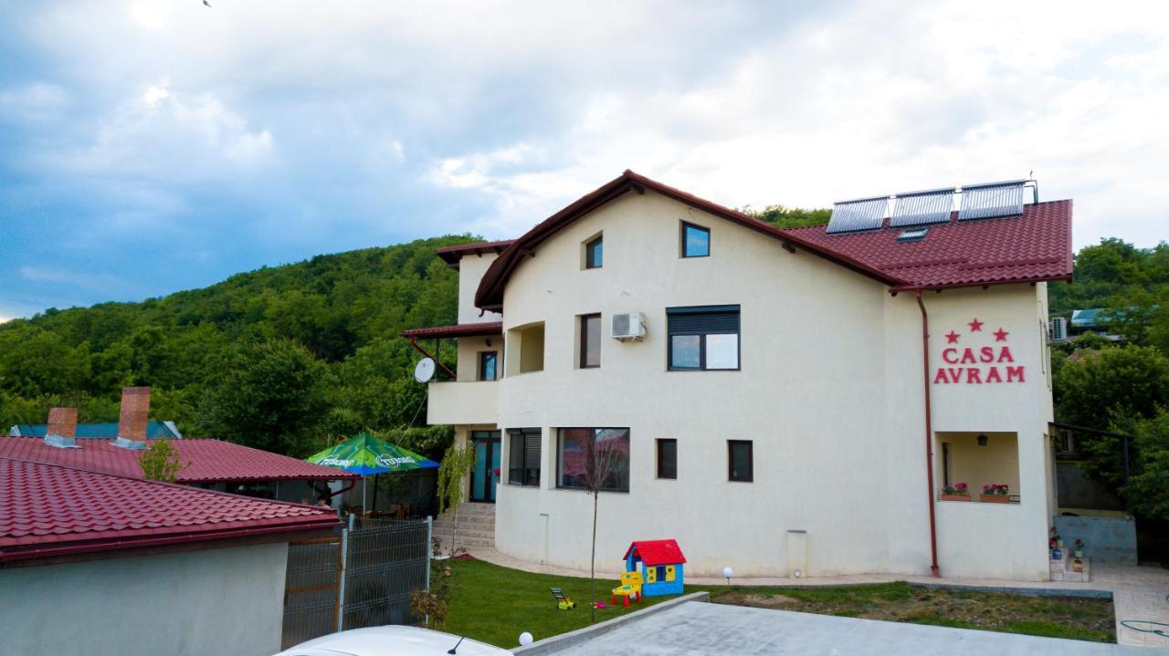 Casa Avram Villa Râmnicu Vâlcea Dış mekan fotoğraf